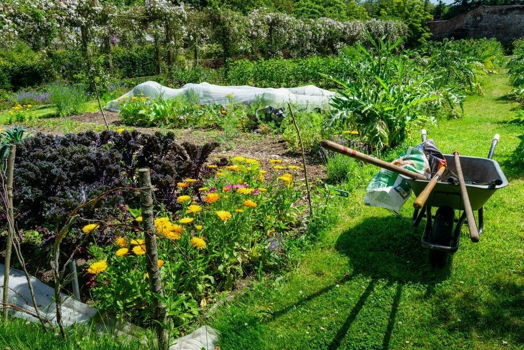 庭園設計・植栽プランニング